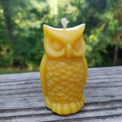 Candle – Owl