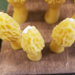 Candle – Small Morel