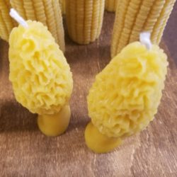 Candle – Large Morel